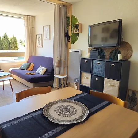 Apartment Avec Piscine Et Place De Parking Privee Cap D'agde Agde