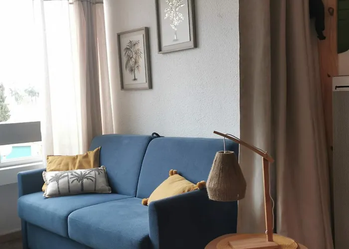 Avec Piscine Et Place De Parking Privee Cap D'agde