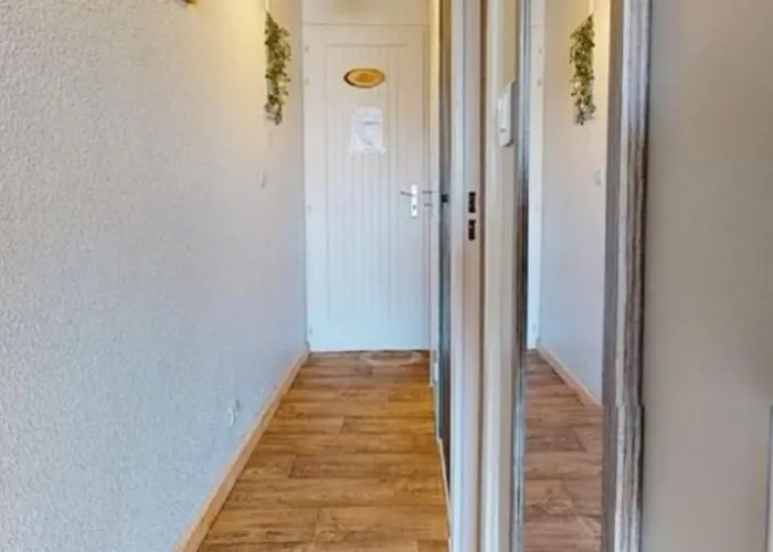 Avec Piscine Et Place De Parking Privee Cap D'agde Апартаменты *